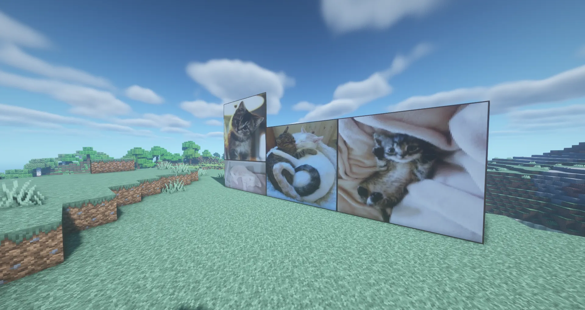Cat Design Paintings — скриншот 1 (Текстуры, Minecraft)