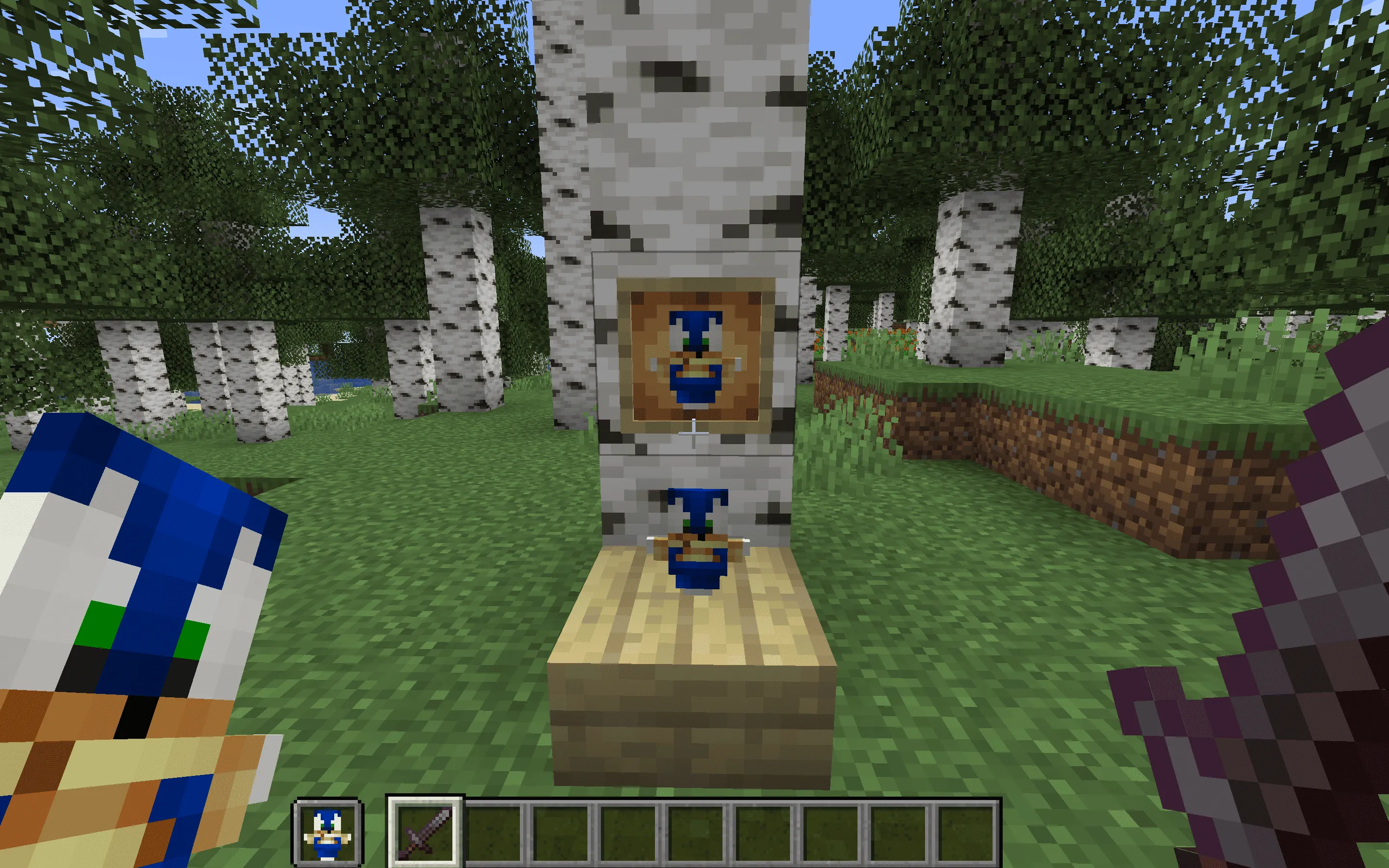 Sonic Totem of Undying, Текстуры, Minecraft