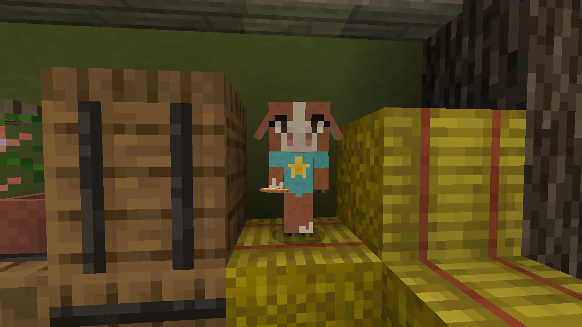Erin's Chaos — скриншот 1 (Текстуры, Minecraft)