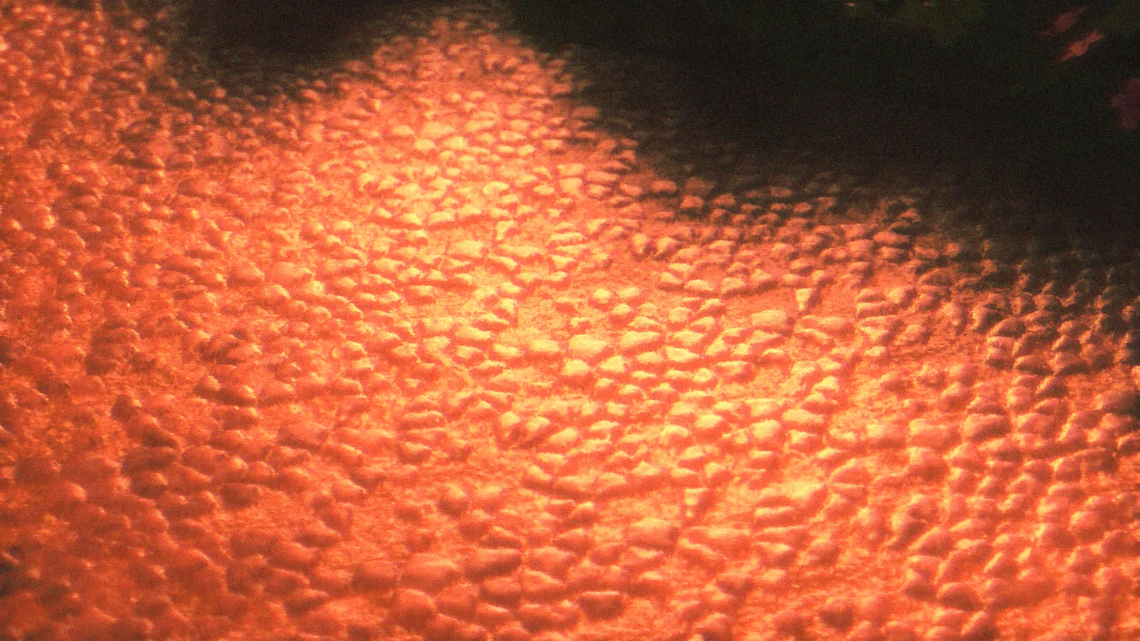 Soft Memory, Шейдеры, Minecraft