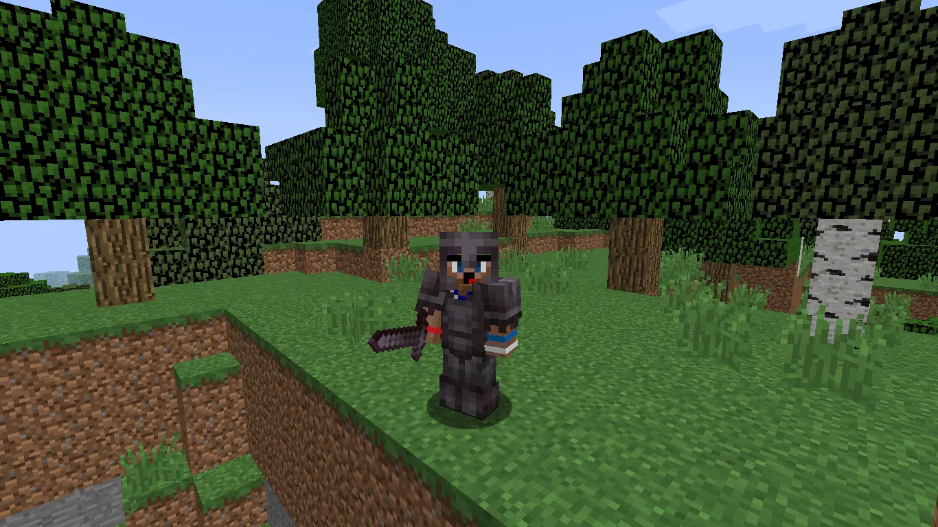 NetherUpdate Rewind, Моды, Minecraft