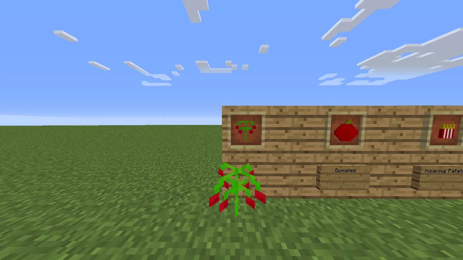 CaYa Madeni — скриншот 11 (Моды, Minecraft)