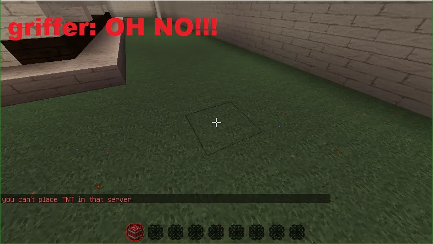 Grief Spy — скриншот 2 (Плагины, Minecraft)