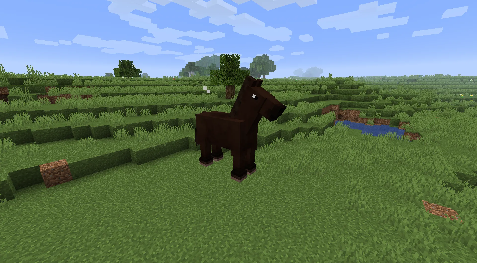 Old Horses in 1.13/1.14+ — скриншот 7 (Текстуры, Minecraft)