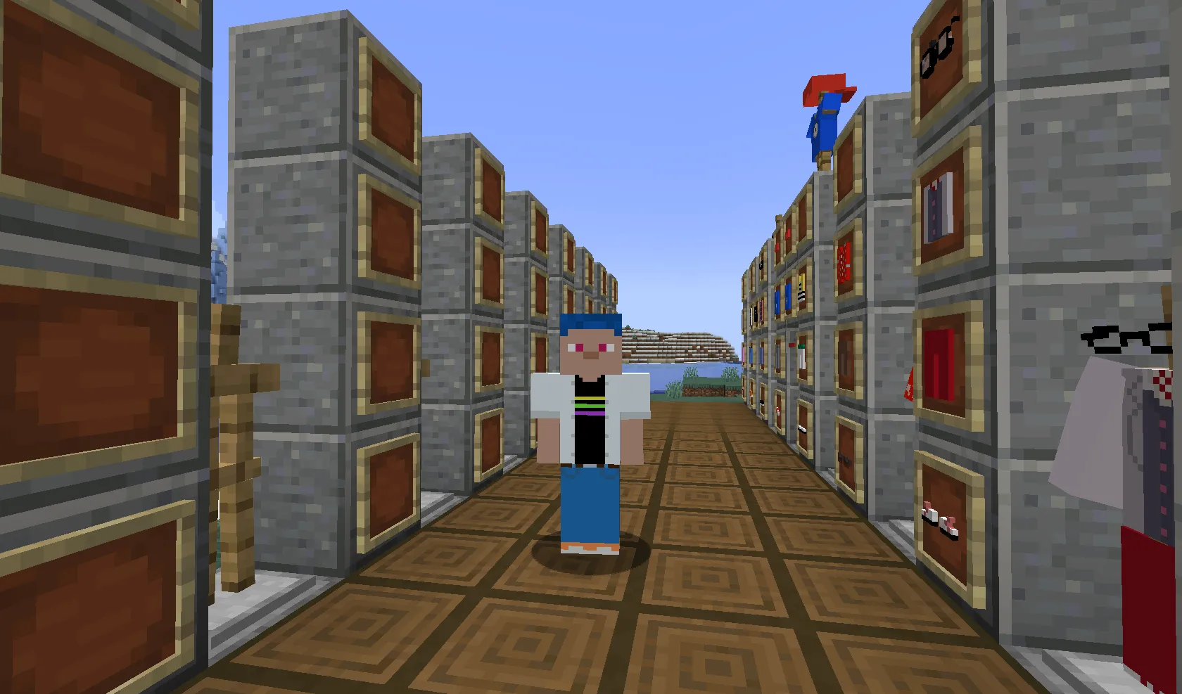 Miraculous Ladybug Clothing, Моды, Minecraft