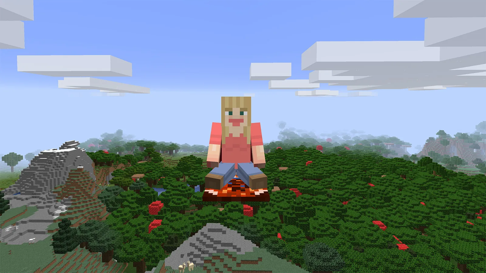 The Tools You Want, Моды, Minecraft