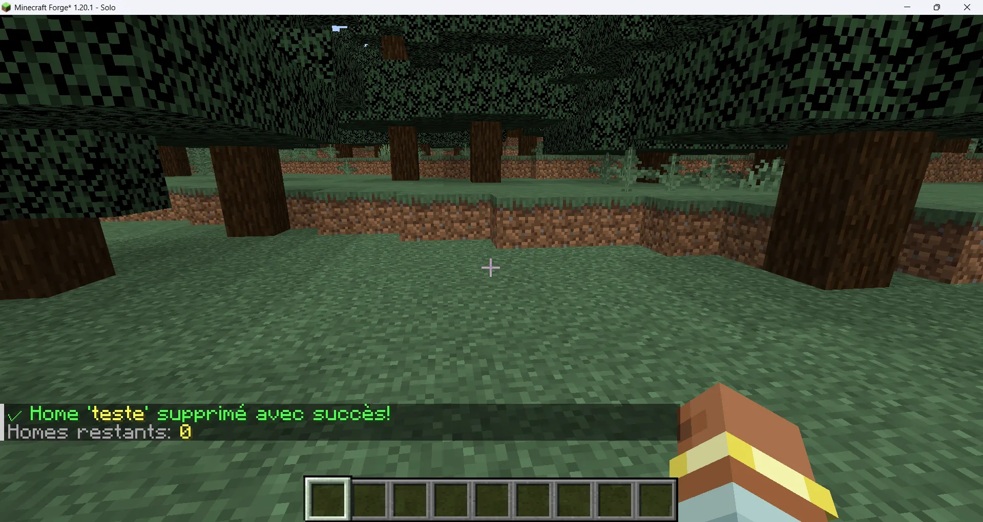 Set-Home Point — скриншот 3 (Моды, Minecraft)