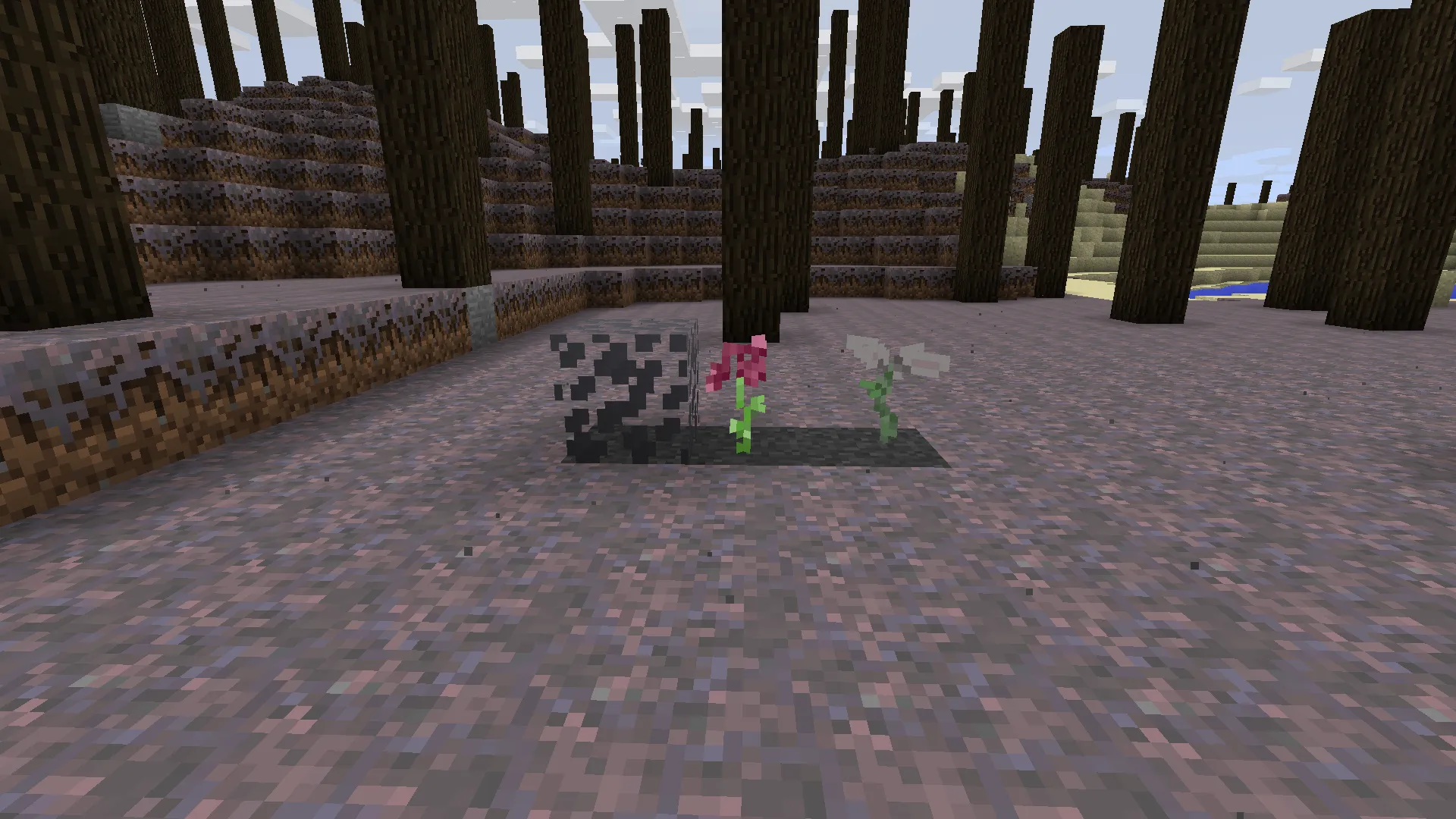 Ramite Mod, Моды, Minecraft