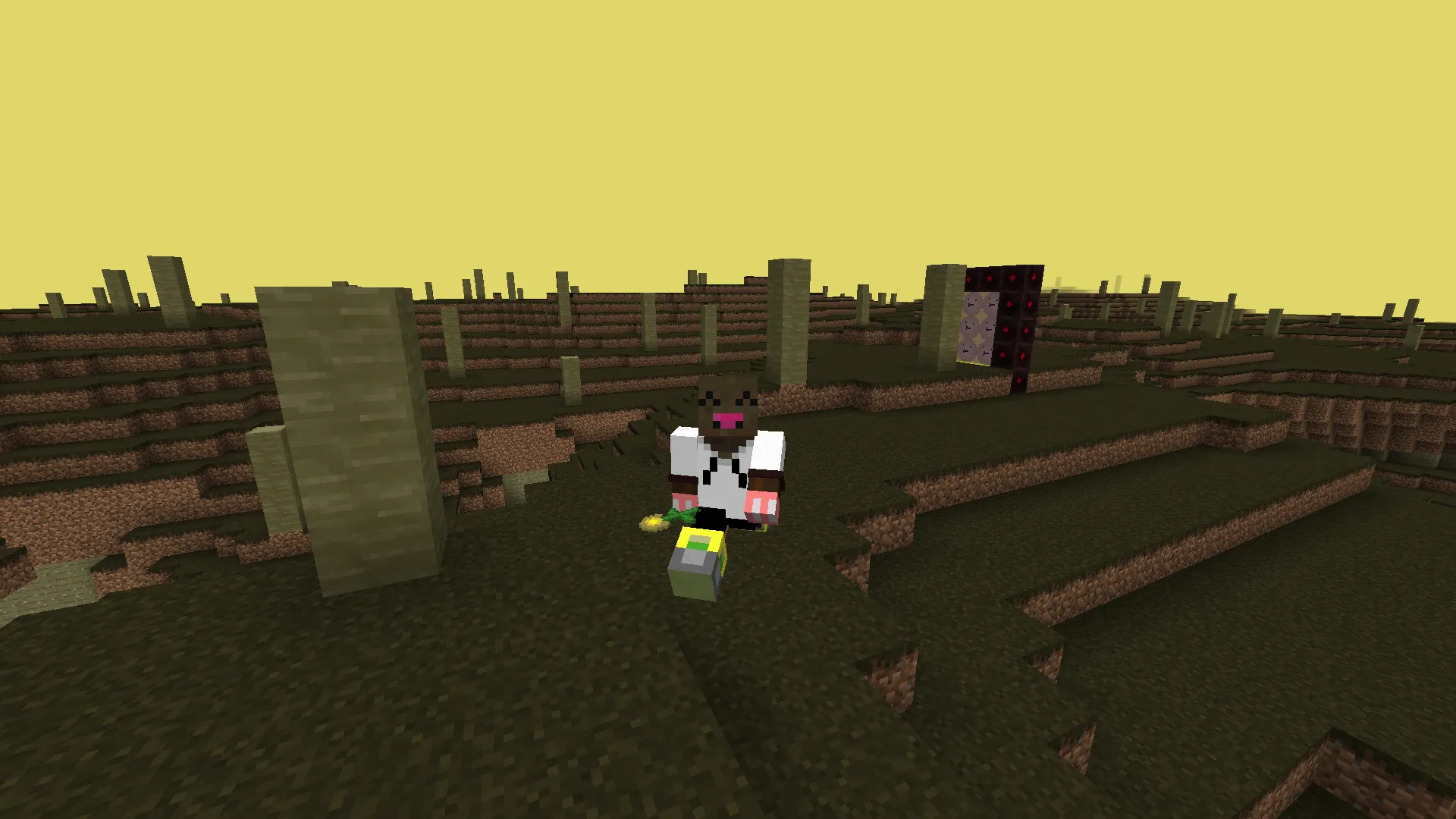 dandelions biomes, Моды, Minecraft