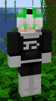 Phantom Accessories, Моды, Minecraft