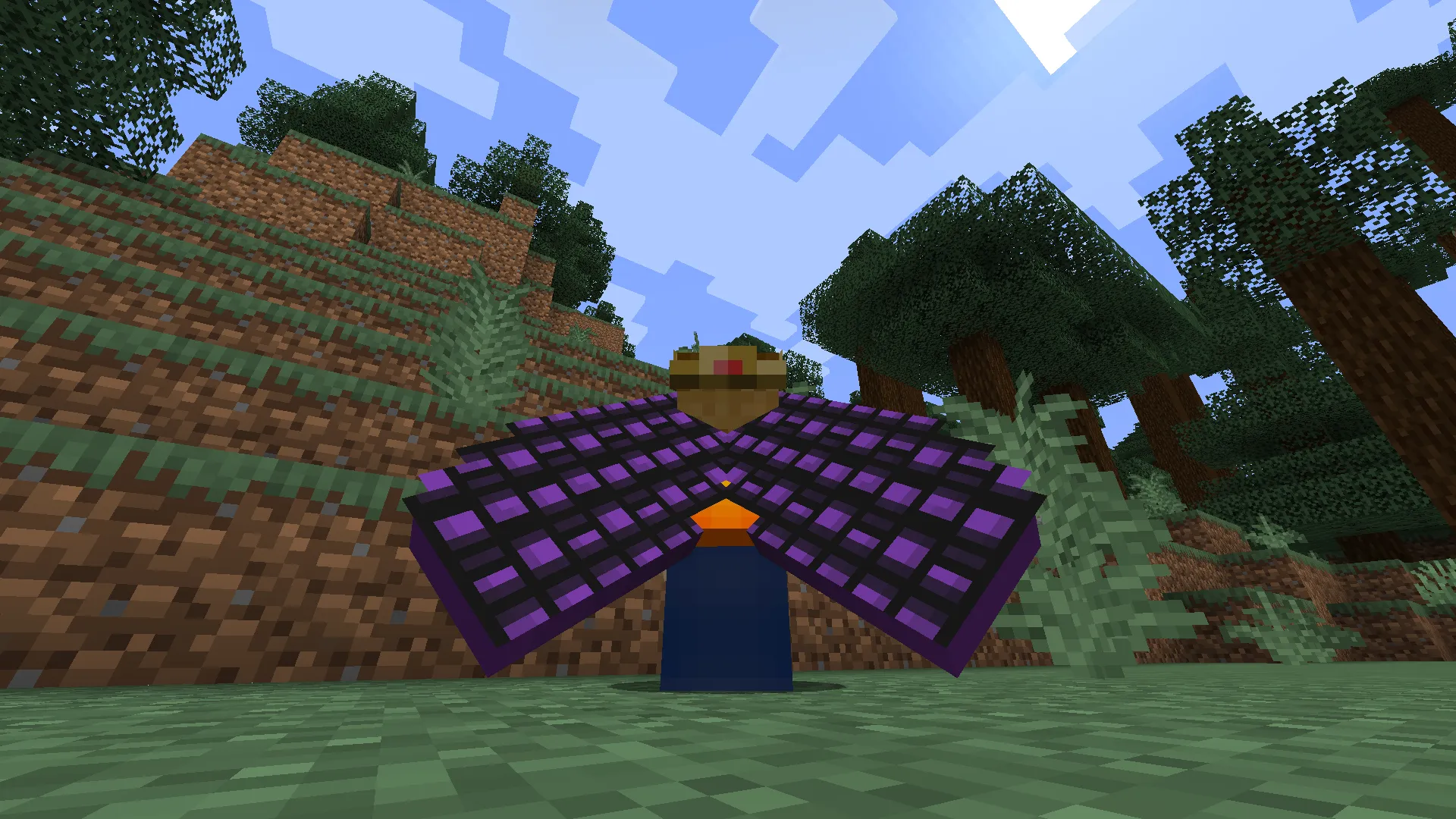 Cosmetic Elytra, Текстуры, Minecraft