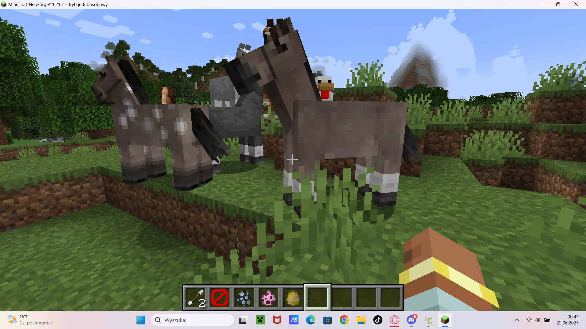 polandresourcepack — скриншот 6 (Текстуры, Minecraft)