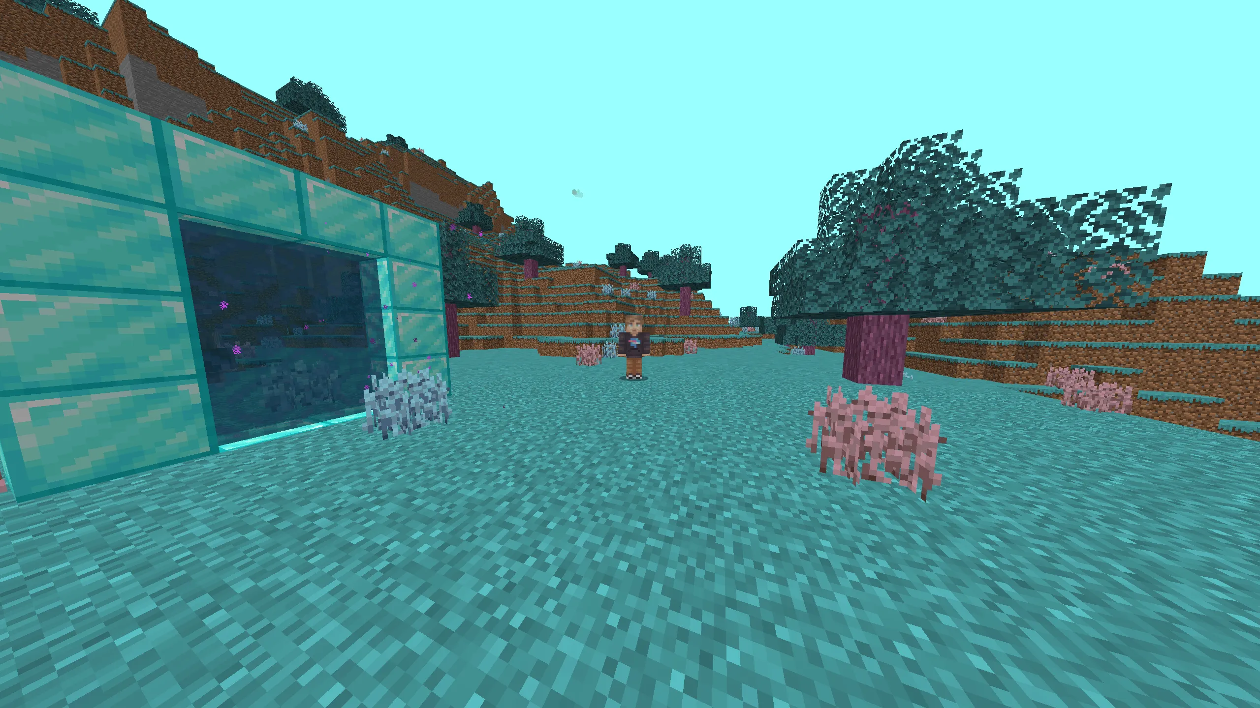 MrBeast Dimension, Моды, Minecraft