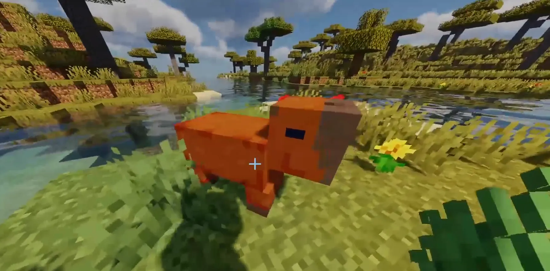 CapybaraWilds, Моды, Minecraft