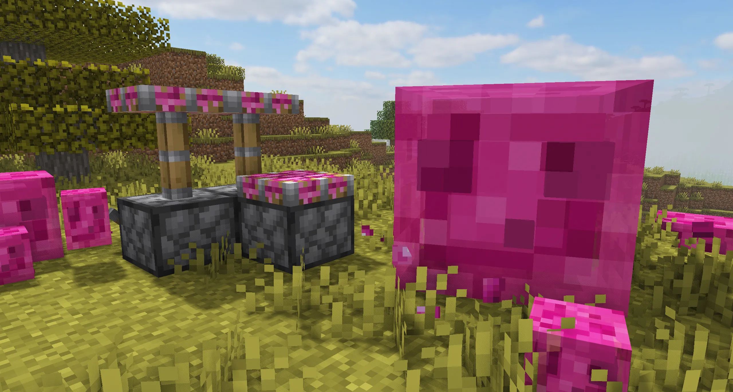 Colonal Kingdom SMP RP, Текстуры, Minecraft