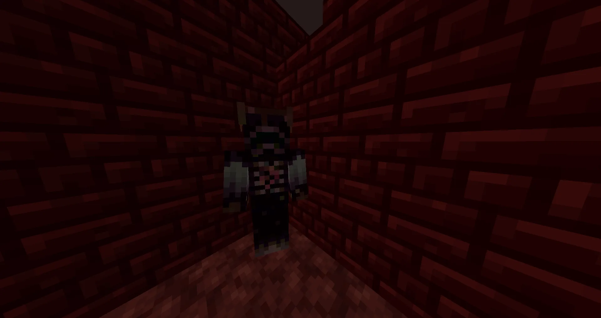 Wild Nether Update, Моды, Minecraft