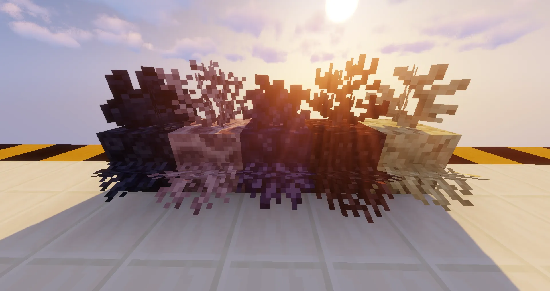 Concrete Colored Corals - Saturated Dead Corals Addon — скриншот 2 (Текстуры, Minecraft)