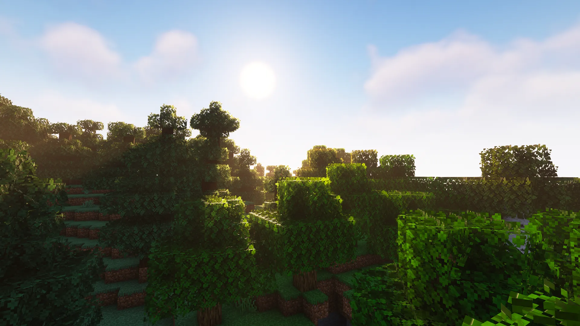 EMP's Bushier Leaves — скриншот 1 (Текстуры, Minecraft)