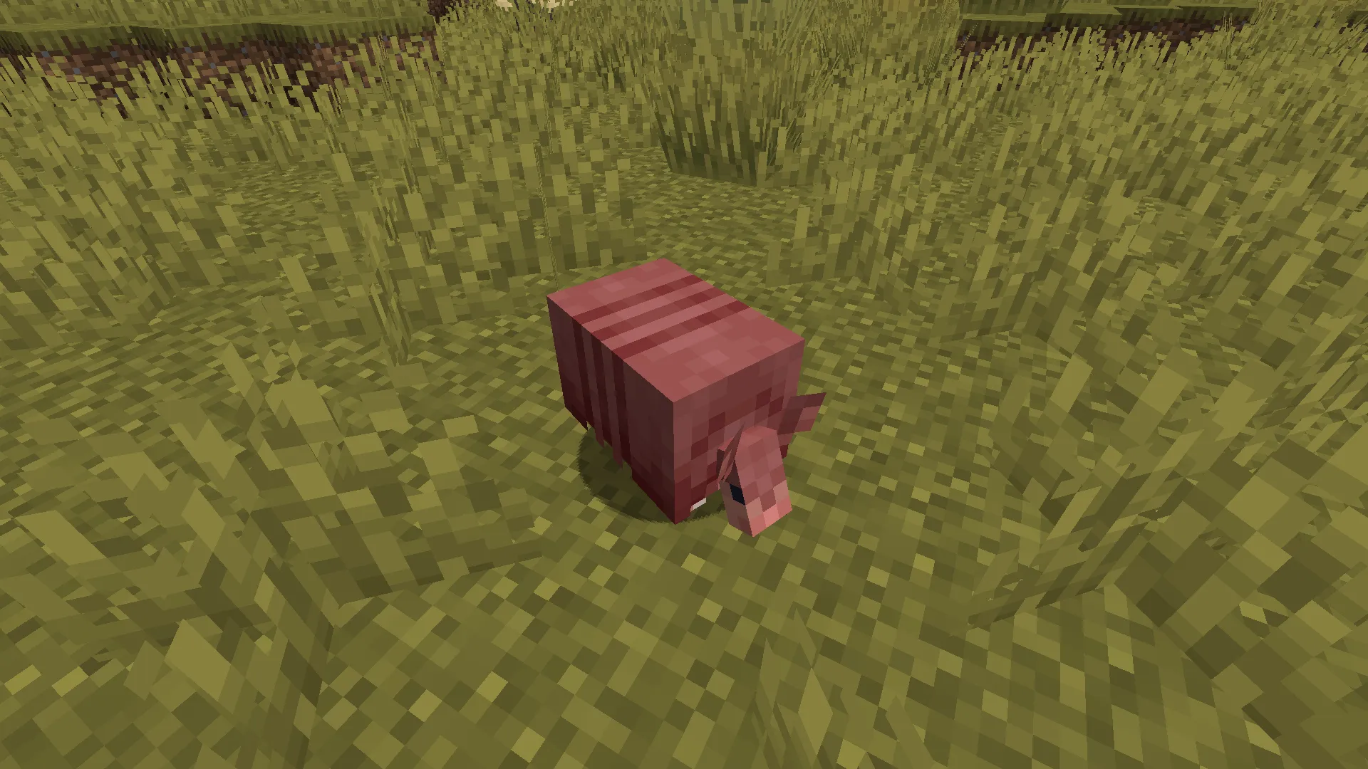 Varied Armadillos, Текстуры, Minecraft