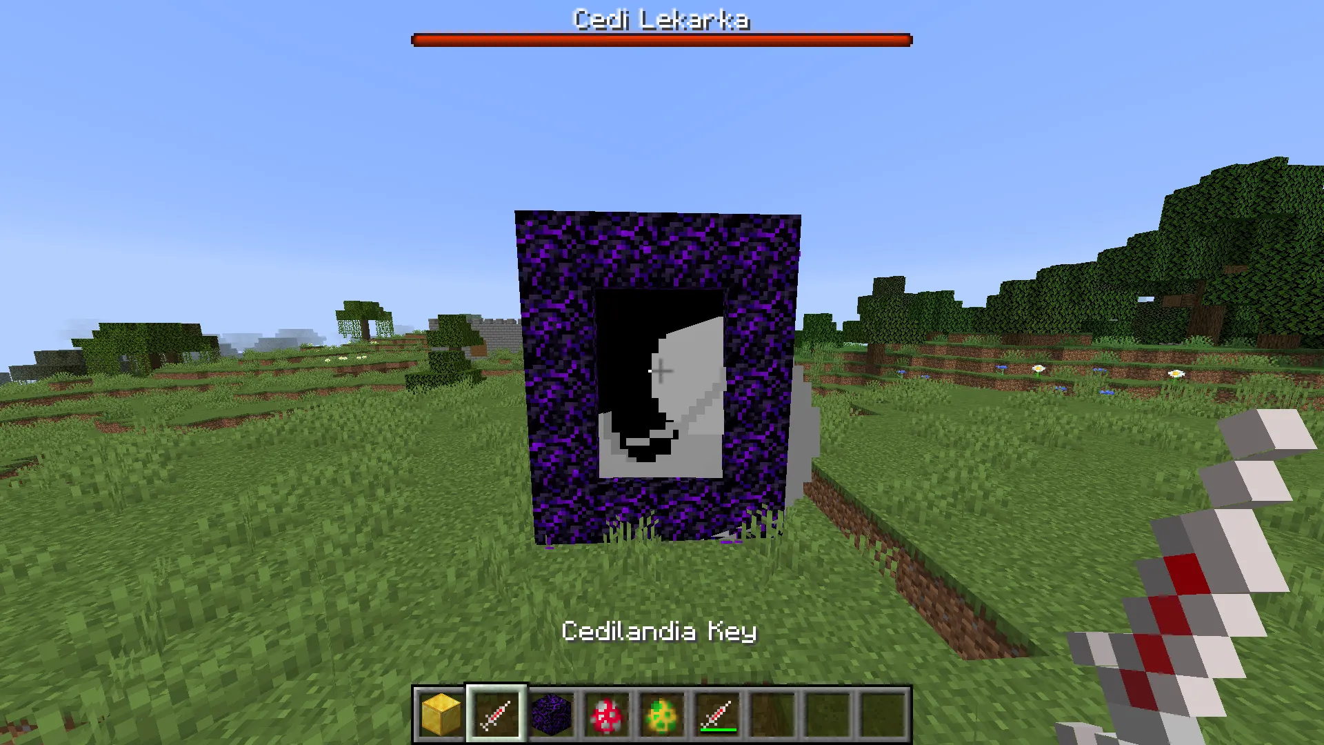MadgeCedi, Моды, Minecraft