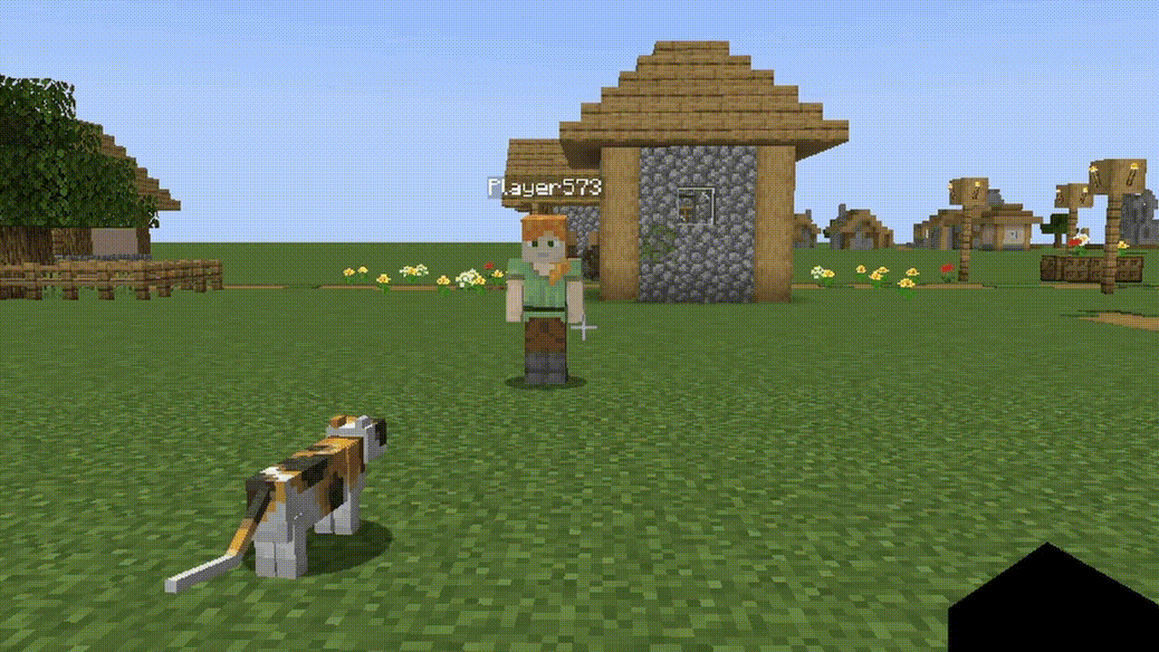 Enhanced Cats, Моды, Minecraft