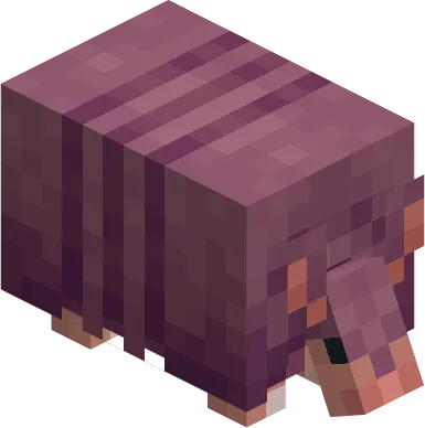 Varied Armadillos, Текстуры, Minecraft