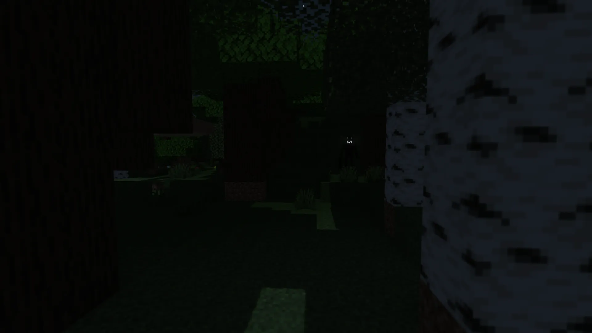 Shadow Stalker, Моды, Minecraft