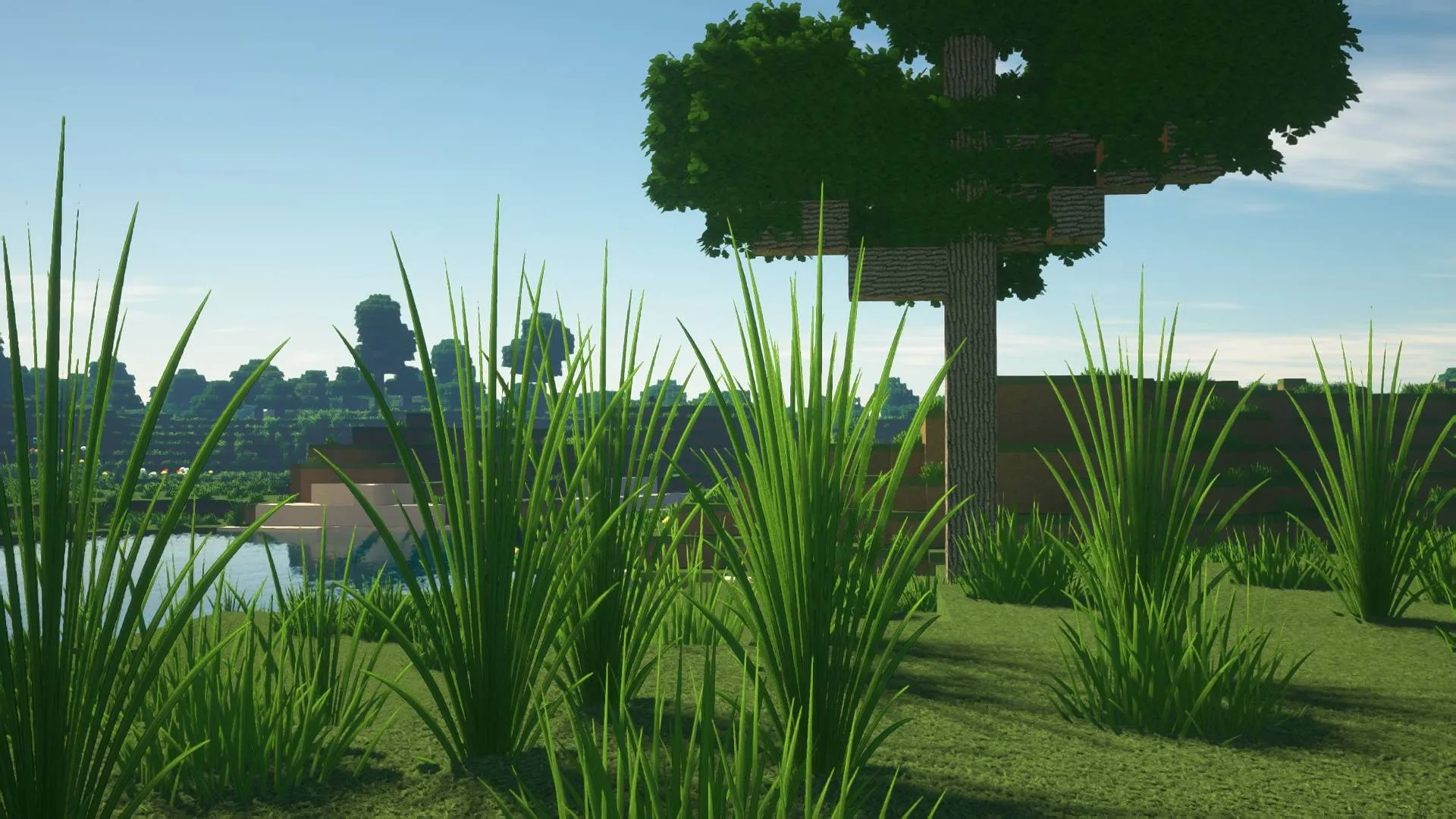 TruePixelR — Modern Realistic PBR Textures, Текстуры, Minecraft