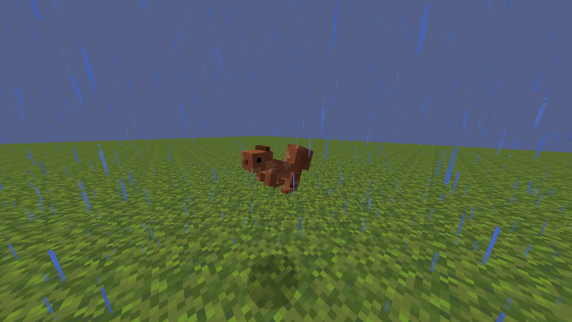Squirrels — скриншот 2 (Текстуры, Minecraft)
