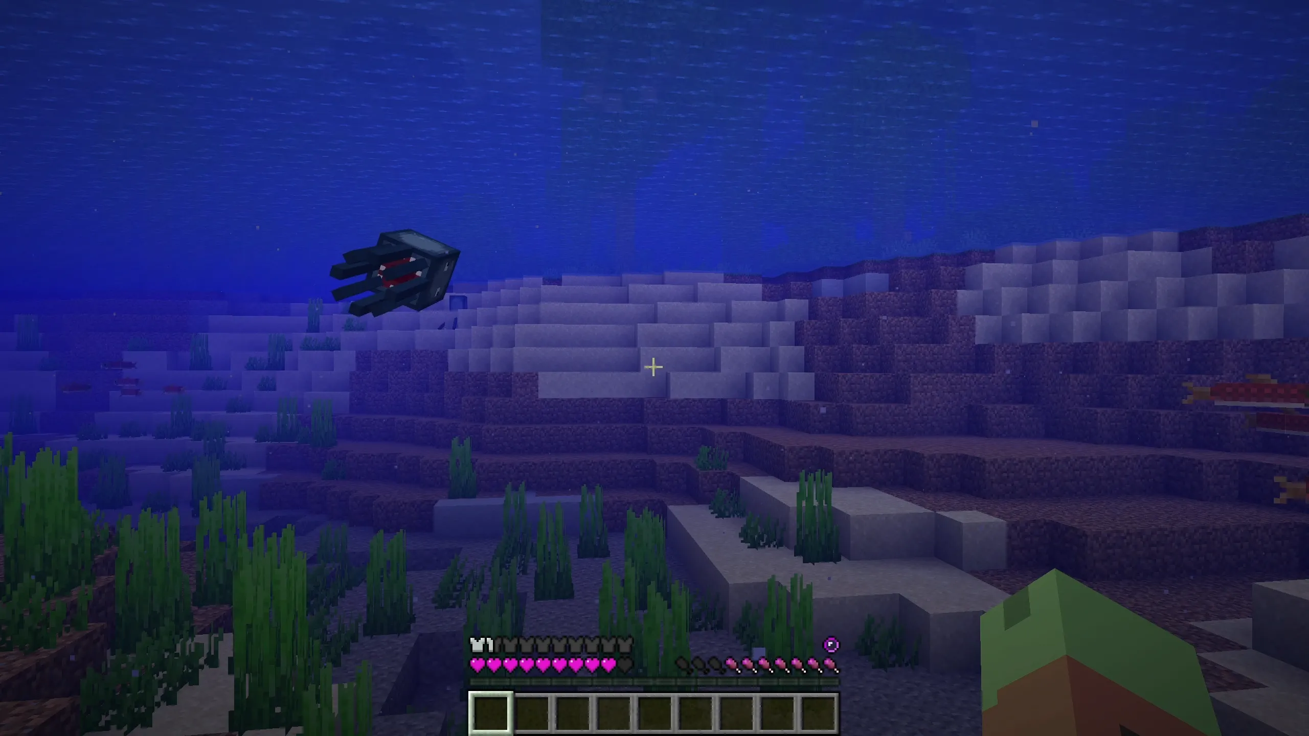 Rainbow Hud, Текстуры, Minecraft