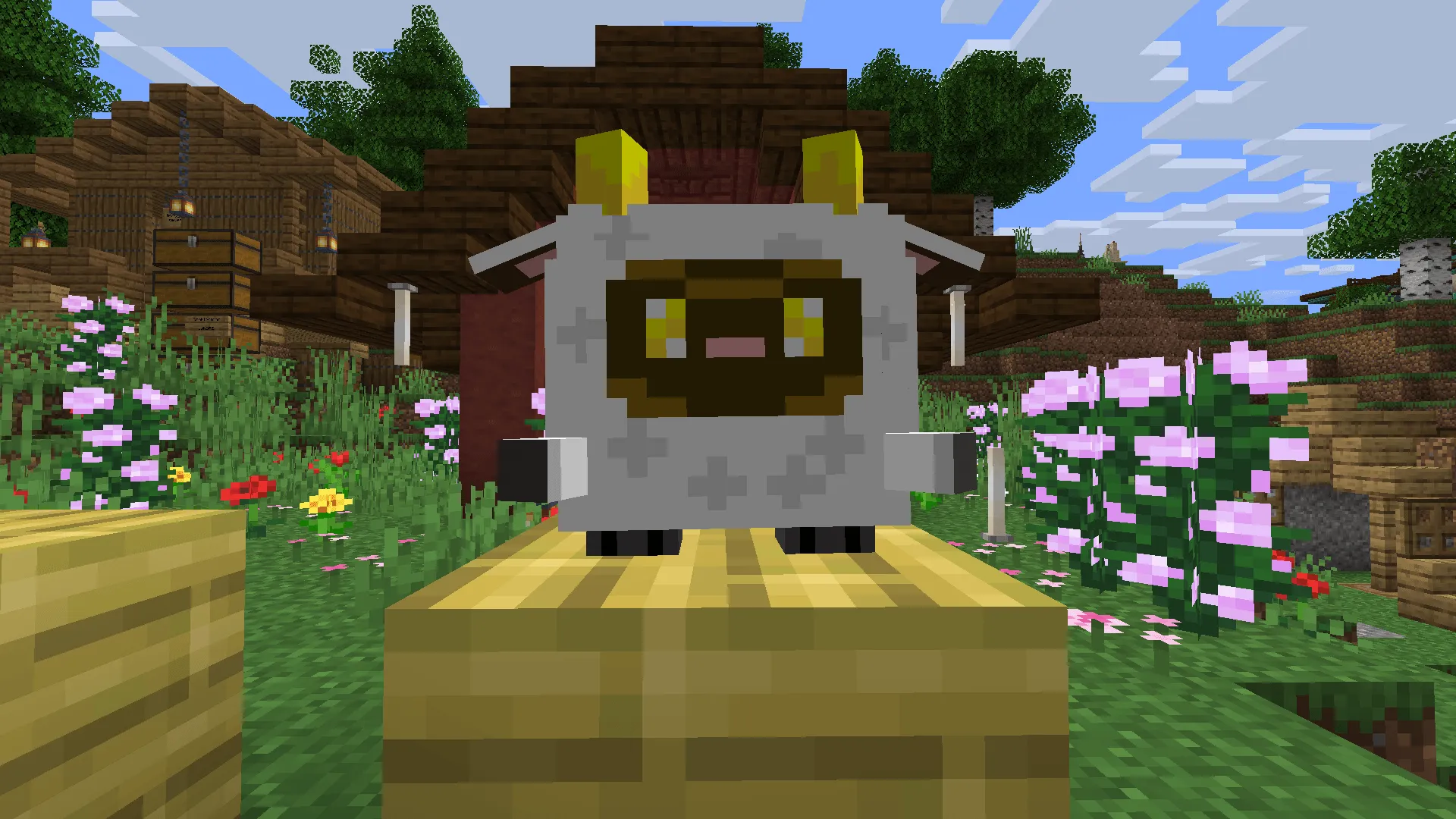 TTRP Bandit pack, Текстуры, Minecraft