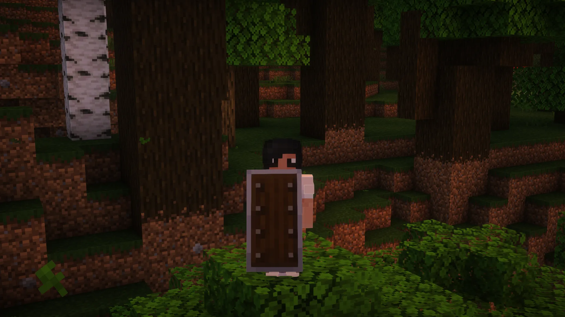 Woodtype Shields, Текстуры, Minecraft