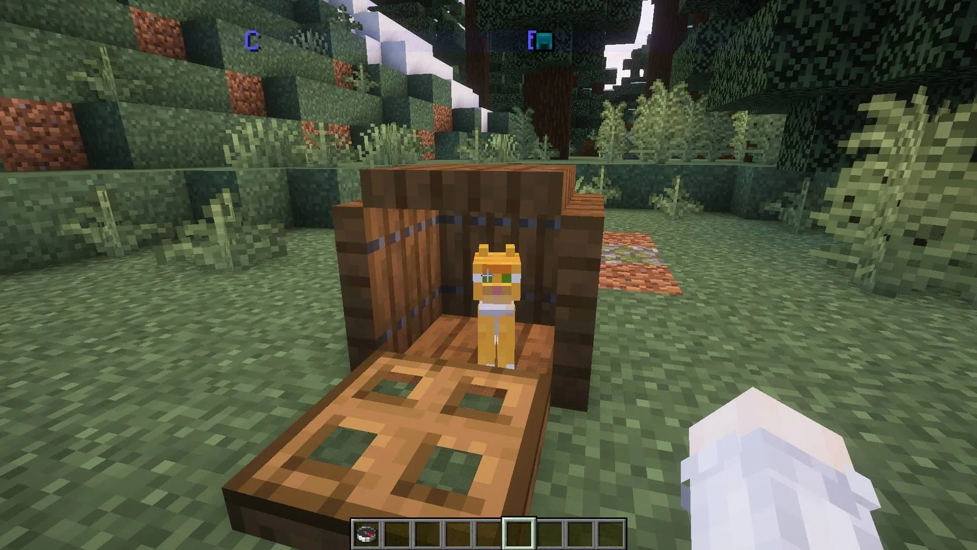 Lolo-styled Advanced compass gui, Текстуры, Minecraft