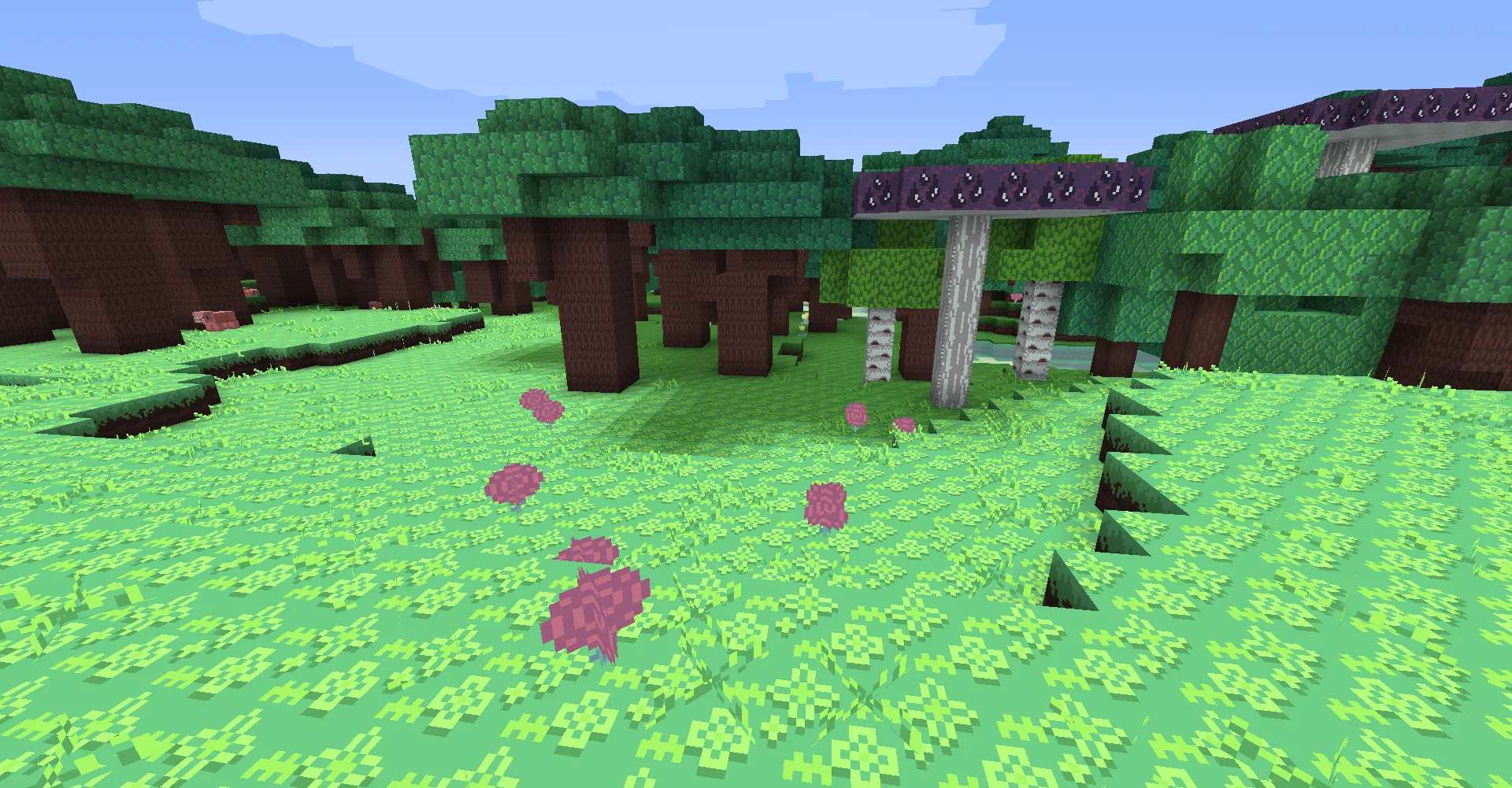 Yoshi's Pack, Текстуры, Minecraft