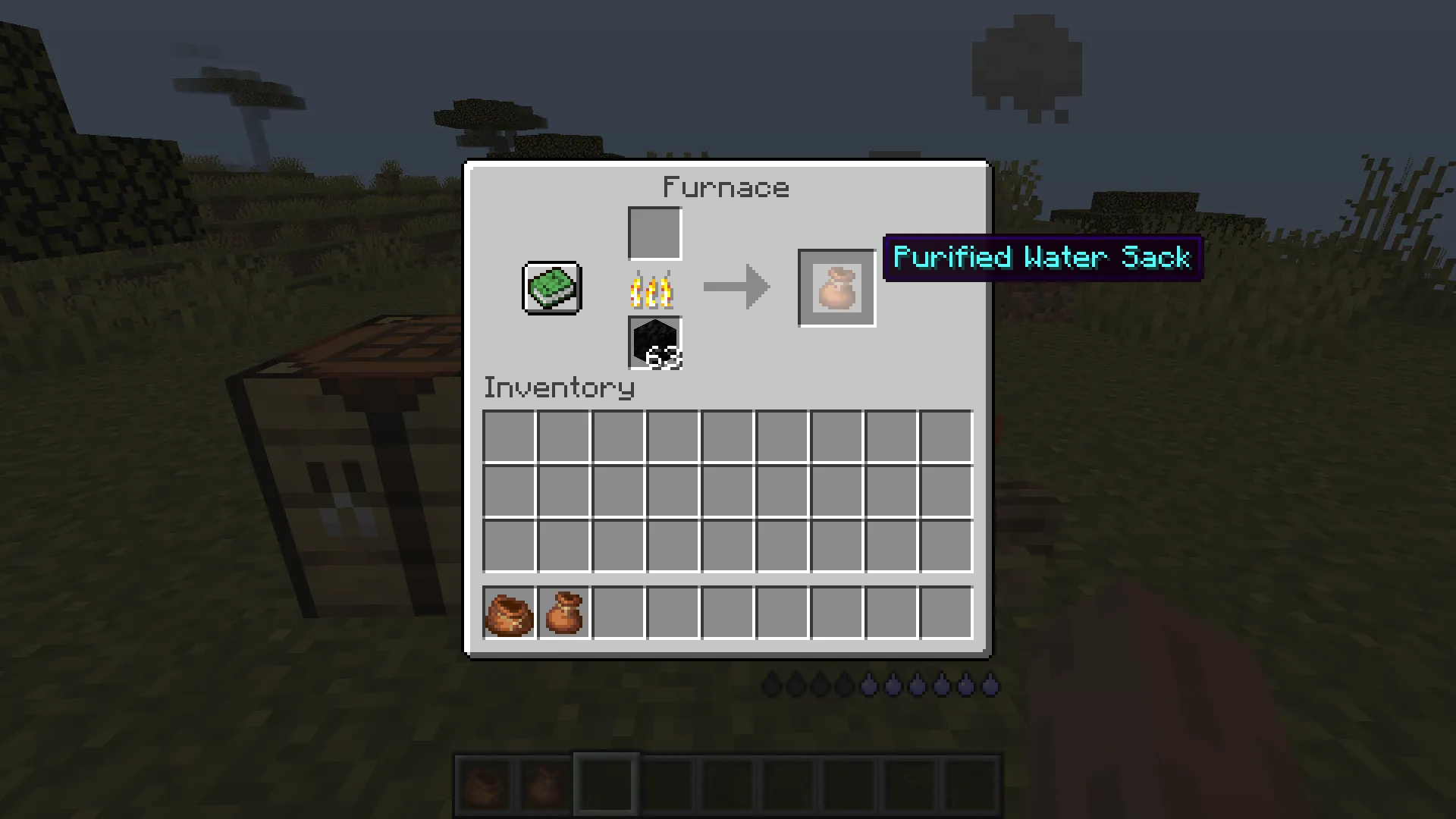 Dehydrated, Моды, Minecraft
