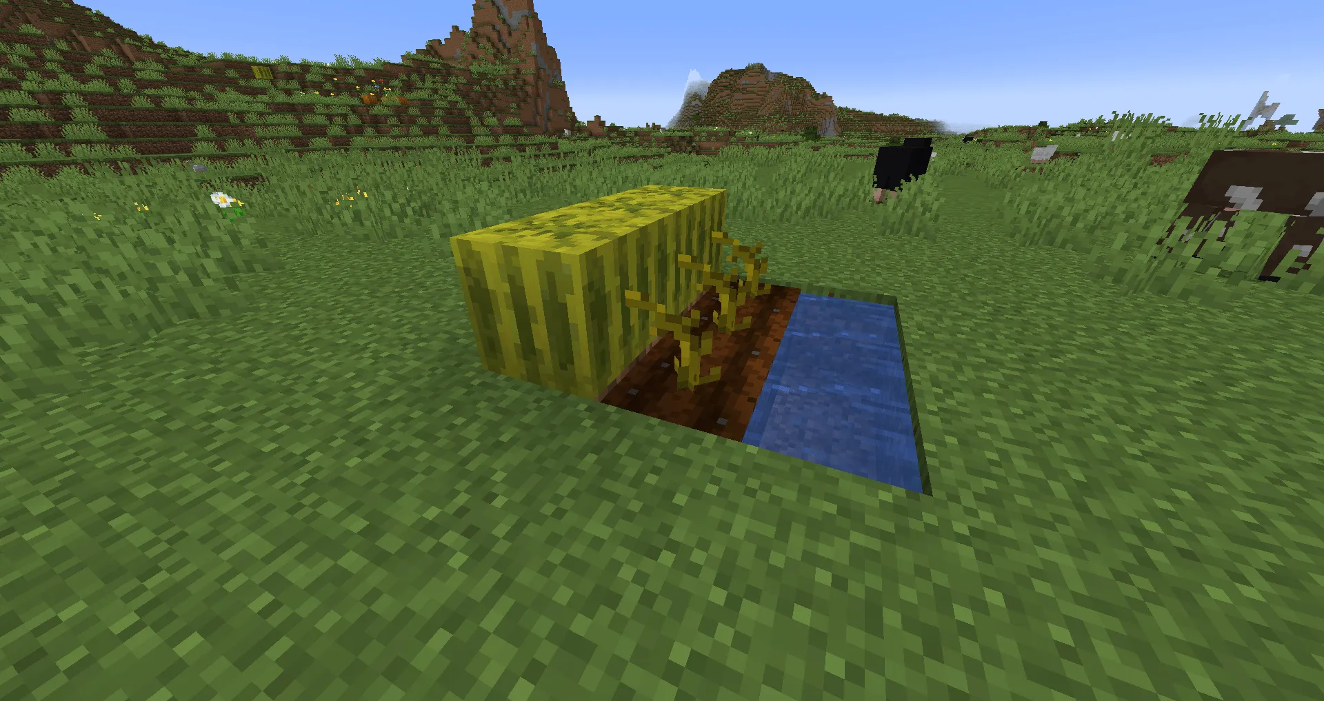 Retro Melon, Текстуры, Minecraft