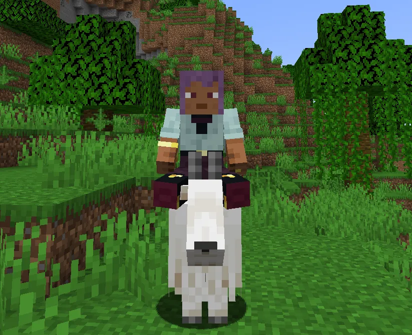 Mount Journal, Моды, Minecraft