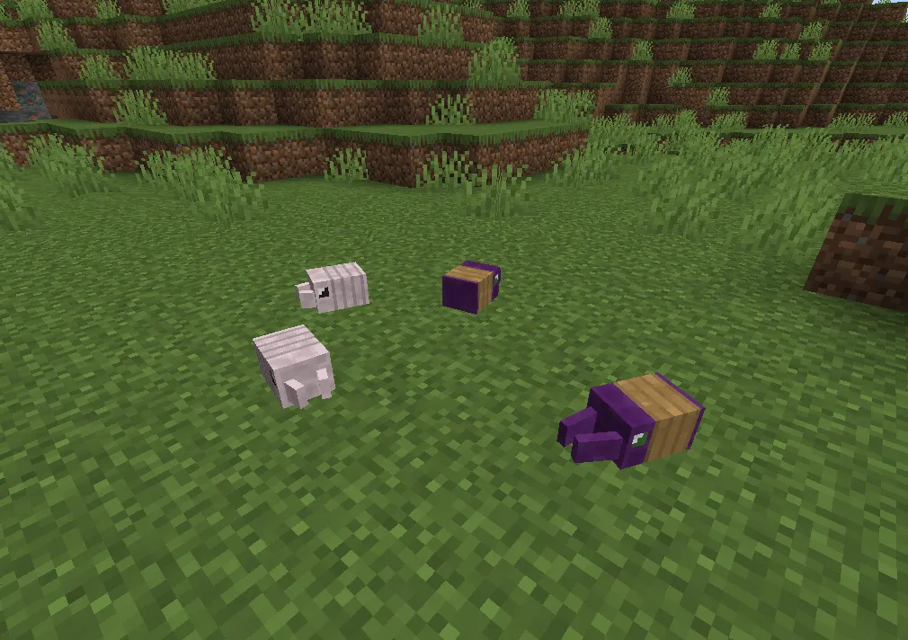 Pikcraft, Моды, Minecraft