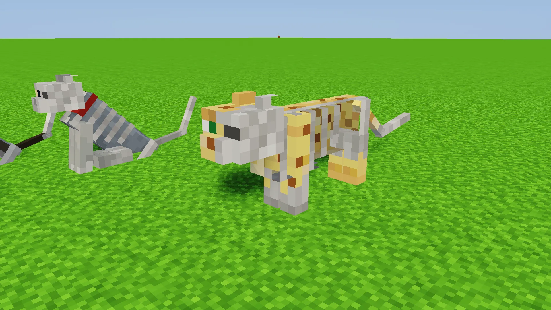 Schrodinger's cats, Текстуры, Minecraft