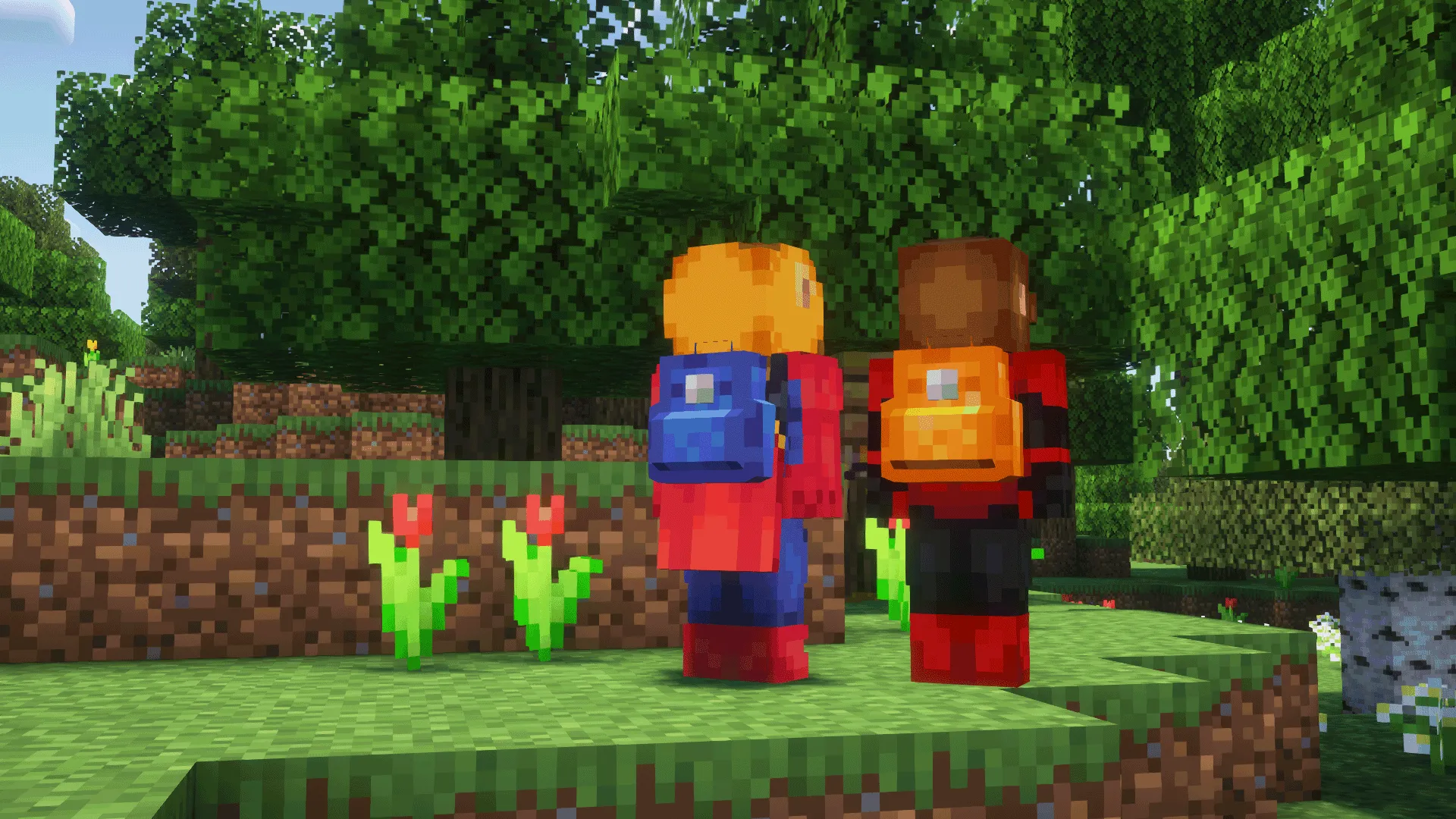 Backpacked: World of Color, Моды, Minecraft