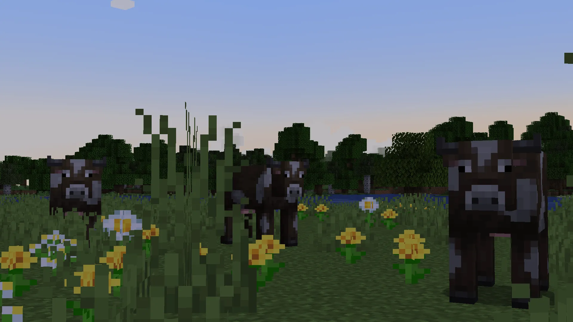 Mixed Litter, Моды, Minecraft