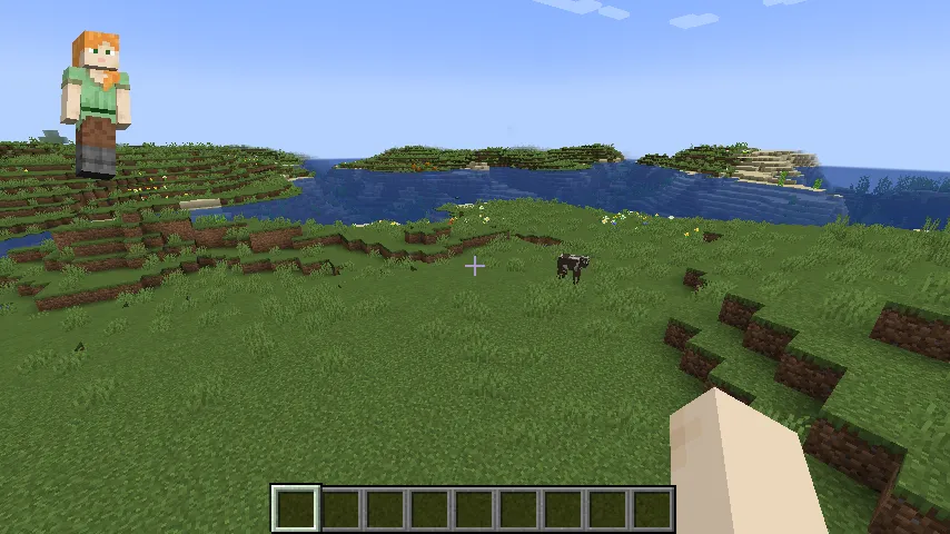 GuiCharacter, Моды, Minecraft