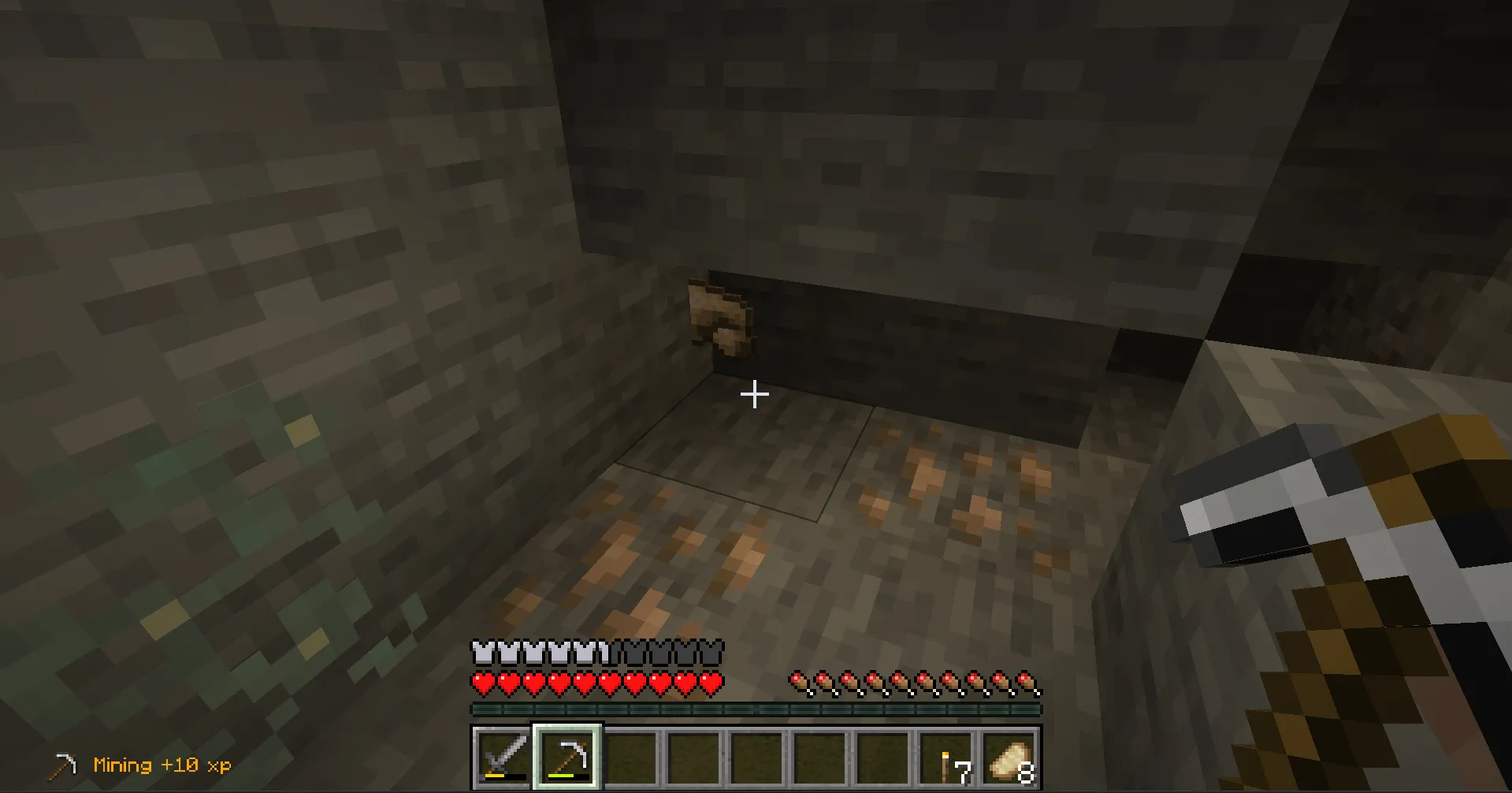 SkillExpNotifier, Моды, Minecraft