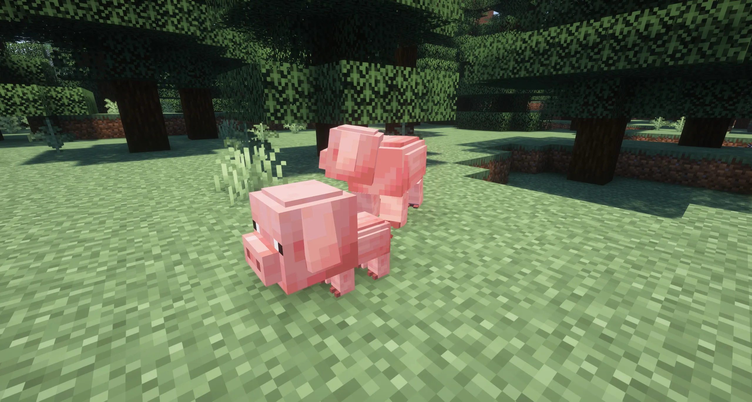 Realistic Pigs — скриншот 2 (Текстуры, Minecraft)