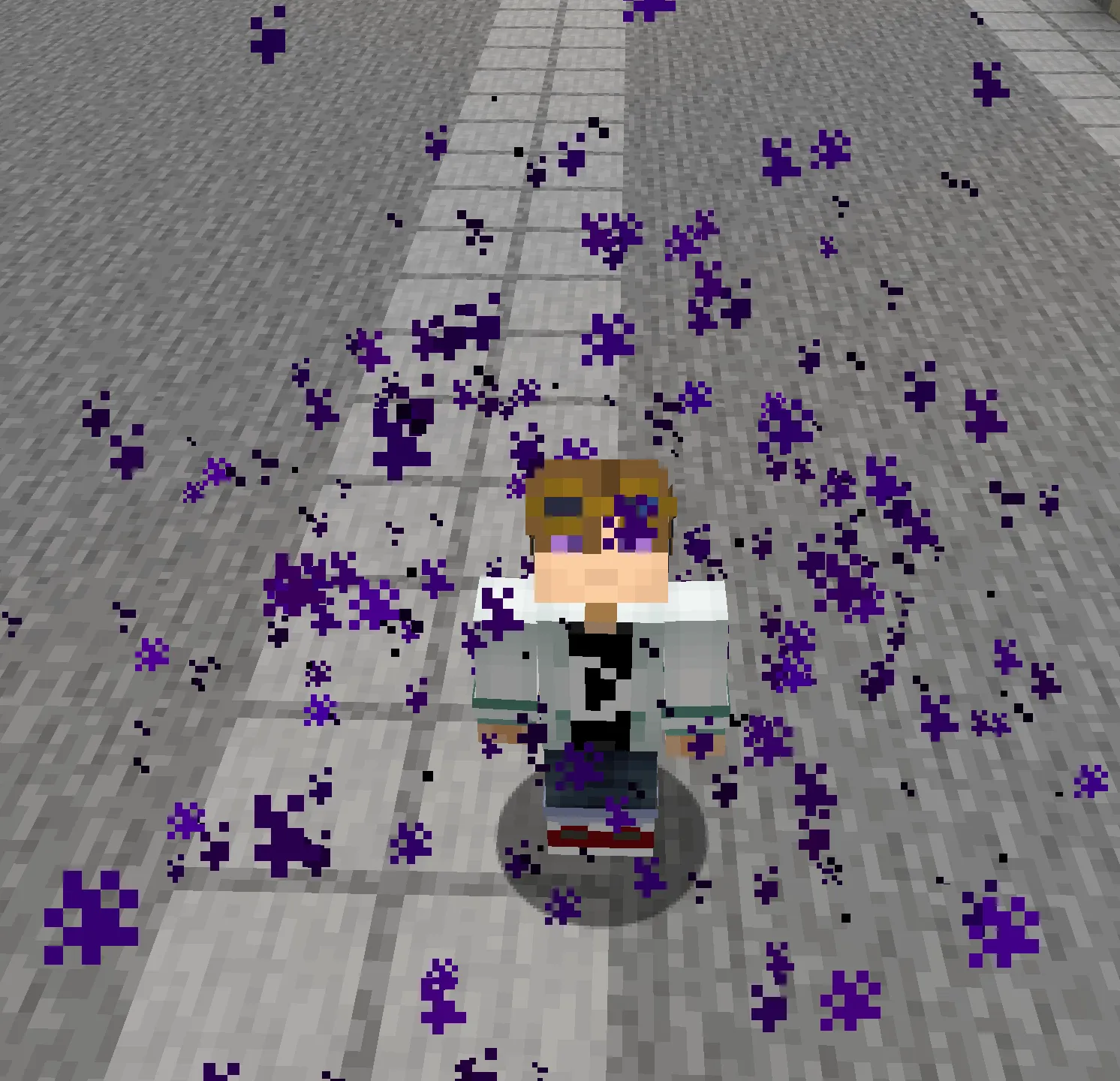 Aspects of Destiny, Моды, Minecraft