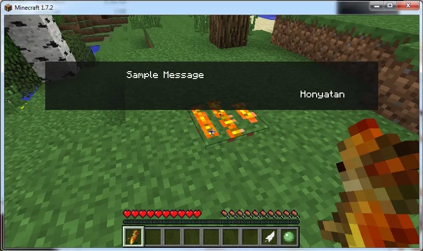 Dark Souls: Orange Soapstone, Моды, Minecraft