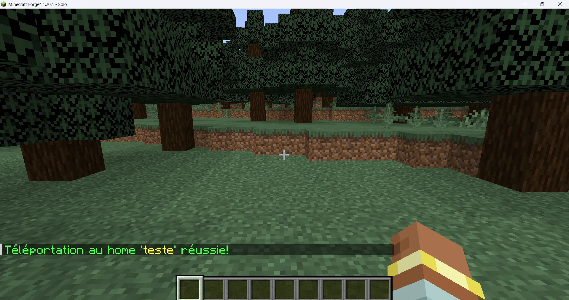 Set-Home Point — скриншот 7 (Моды, Minecraft)
