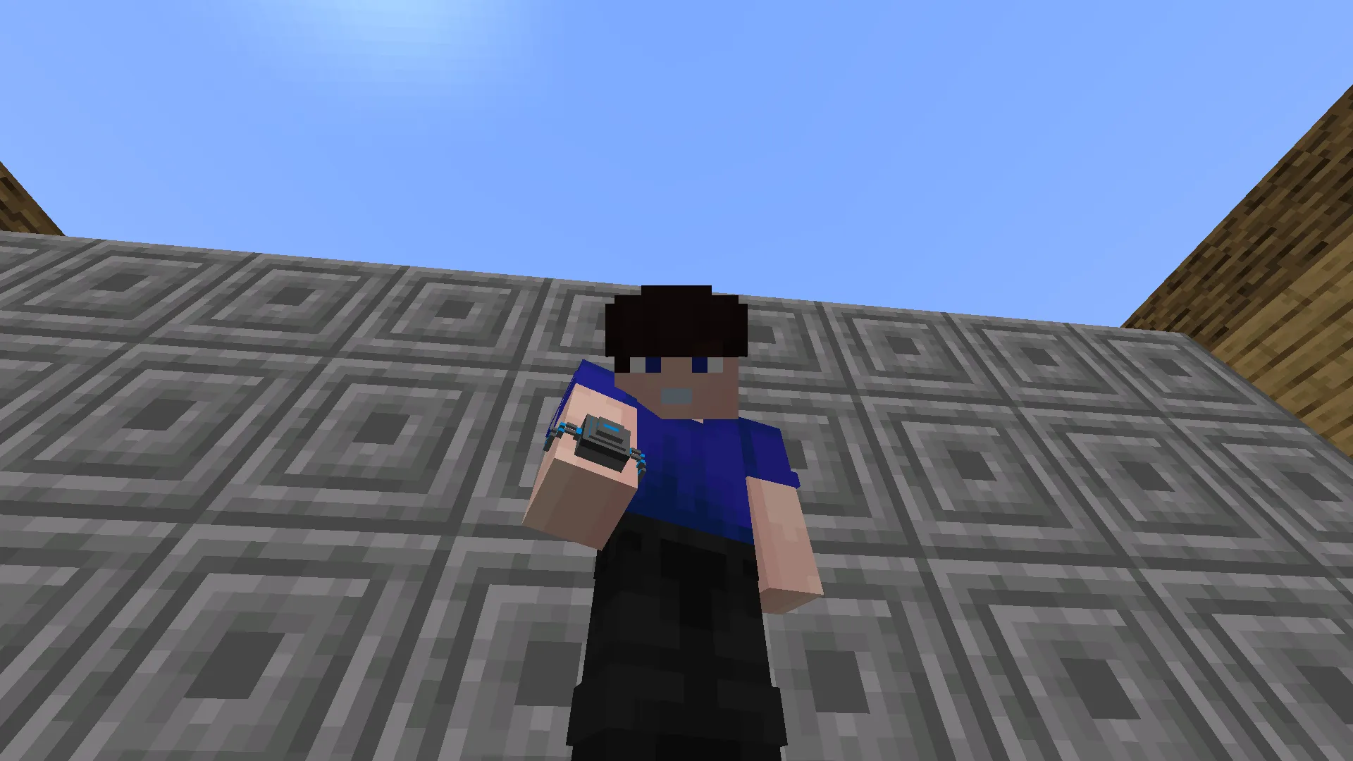 Craftformers: Allspark, Моды, Minecraft