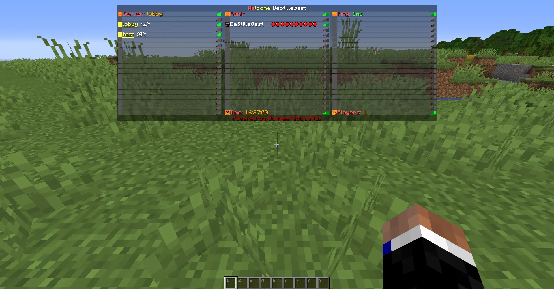 Skyboard, Моды, Minecraft