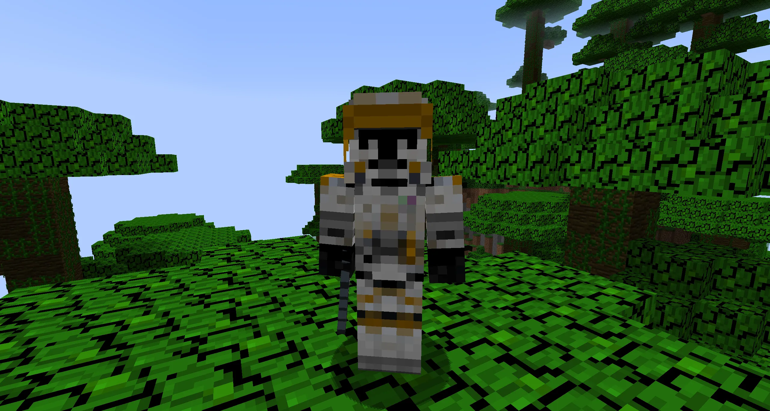 Star Wars Mod 1.0, Моды, Minecraft